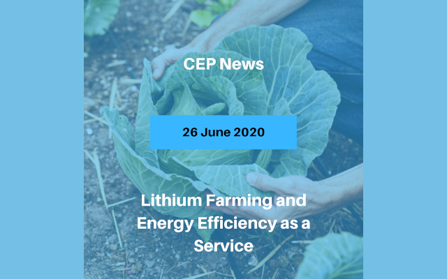 Lithium Farming and Energy Efficiency as a Service