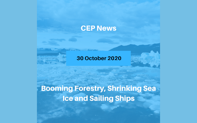 Booming Forestry, Shrinking Sea Ice and Sailing Ships