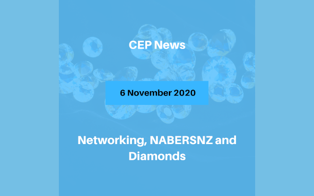 Networking, NABERSNZ and Diamonds