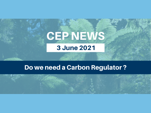 Do We Need a Carbon Regulator?