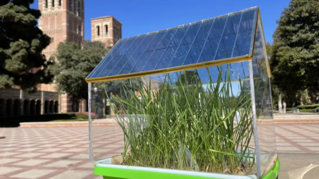 Greenshouse with solar cells