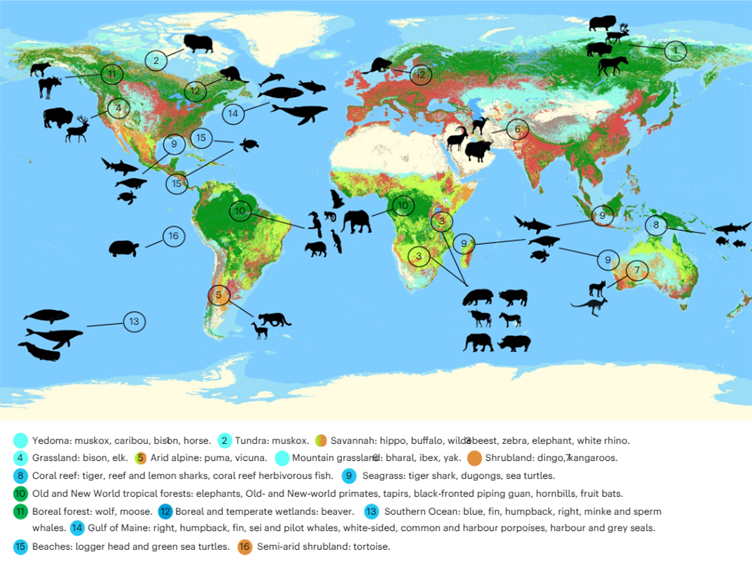 Animal map