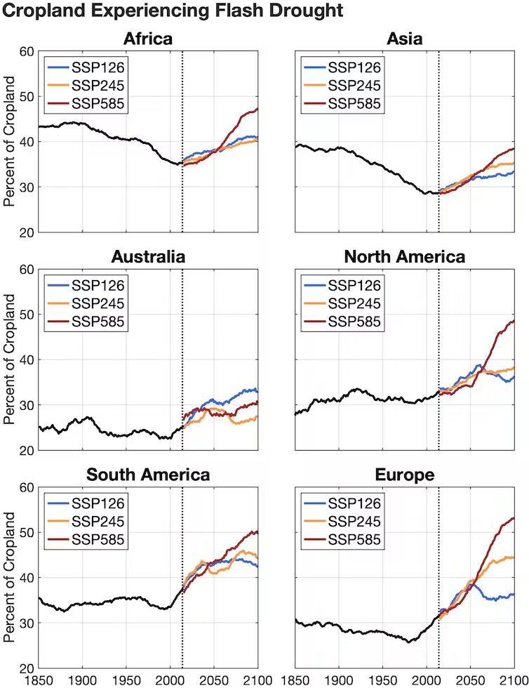 Risk charts