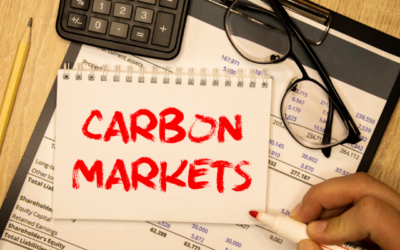 Global authority on carbon markets to speak at conference