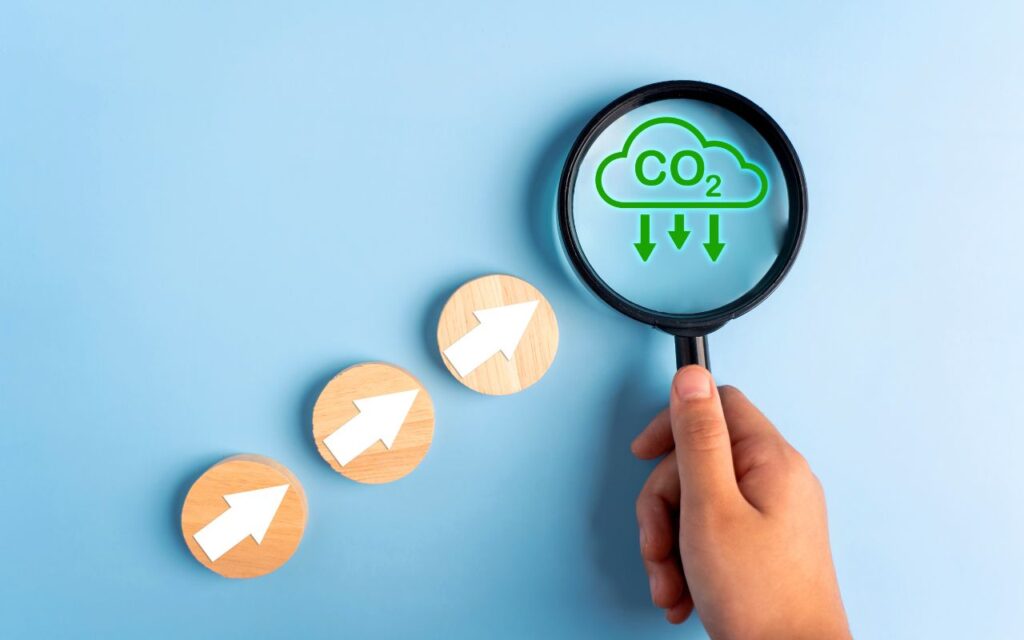 CEP Training - Carbon Auditor