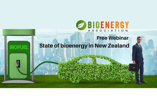 Bioenergy webinar (2)