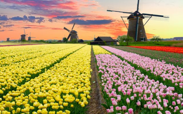 Electricity rationing, powerful ice and UFOs - Carbon and Energy ...