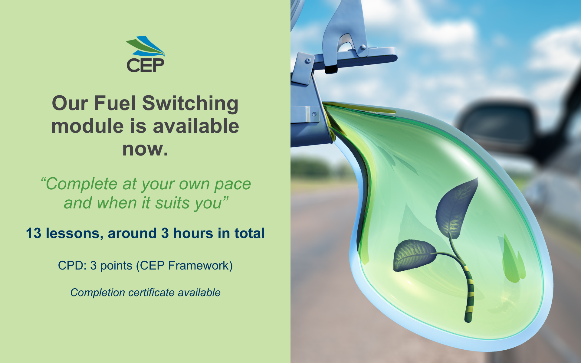 cep1006-fuel-switching module