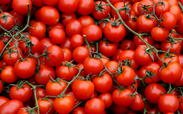 News you may have missed