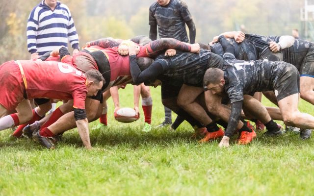 News you may have missed