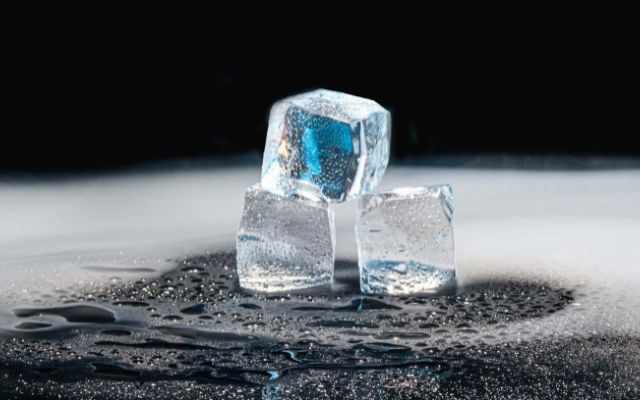 News you may have missed